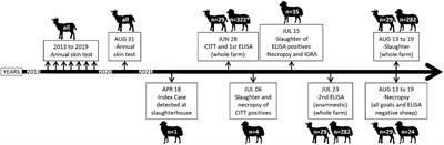 A humoral diagnostic test outperforms cellular tests in a farm with a latent tuberculosis outbreak caused by a new Mycobacterium tuberculosis complex spoligotype that affected sheep but not goats